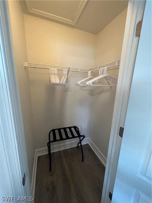 spacious closet featuring hardwood / wood-style flooring