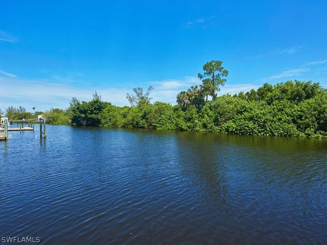 property view of water