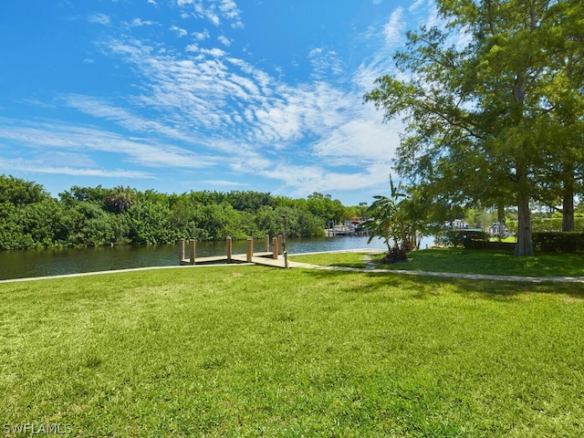 view of community featuring a lawn and a water view