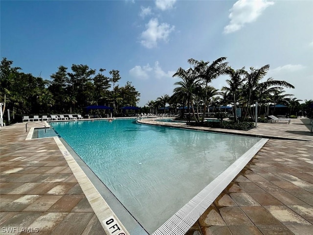 view of pool with a patio