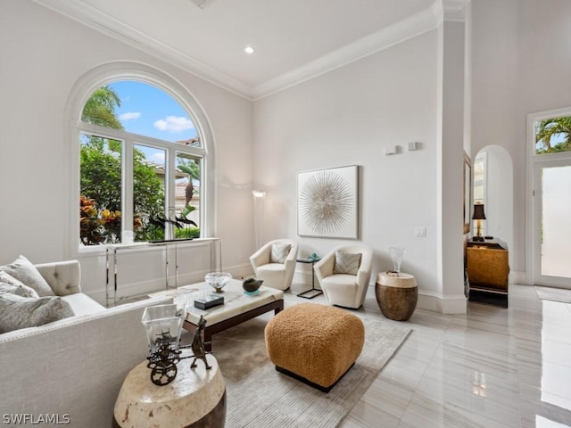 living room featuring crown molding and a towering ceiling