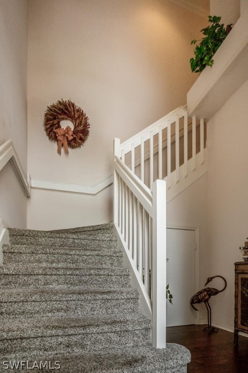 staircase featuring a towering ceiling and dark hardwood / wood-style floors