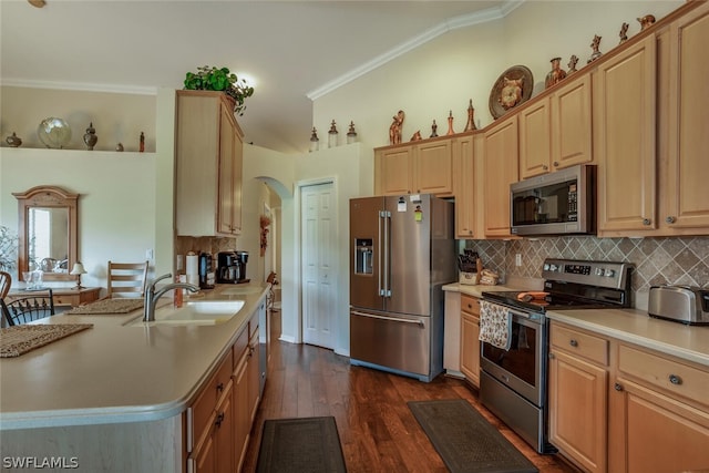 kitchen with crown molding, lofted ceiling, stainless steel appliances, dark hardwood / wood-style floors, and tasteful backsplash