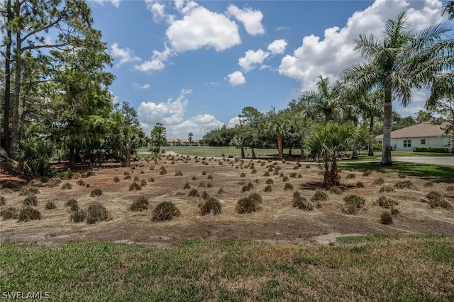 view of yard with a rural view