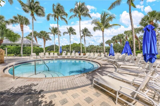 view of pool with a patio area