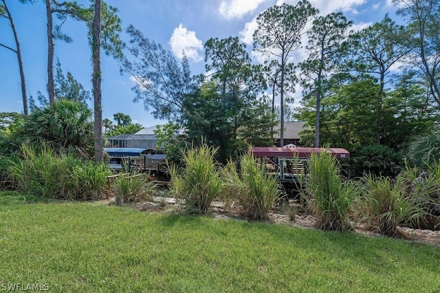 27071 Holly Ln, Bonita Springs, FL 34135 - view of yard