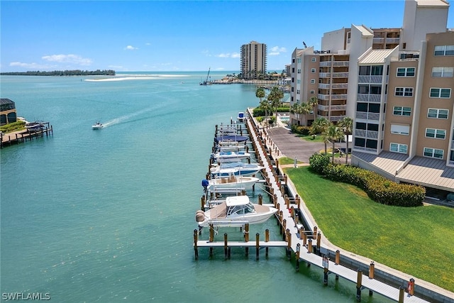 water view featuring a boat dock