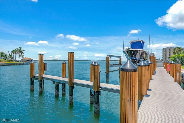 dock area with a water view