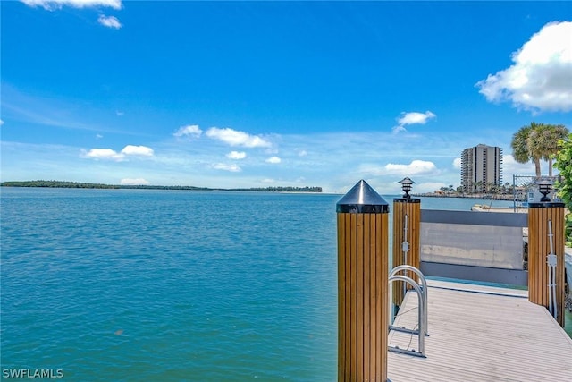 dock area featuring a water view