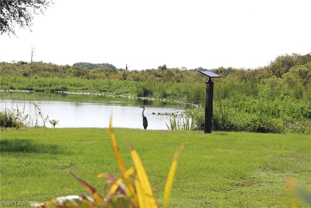 view of yard with a water view