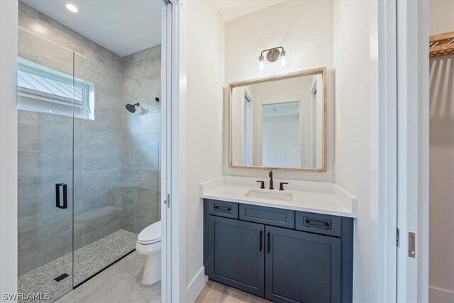 bathroom with vanity, toilet, and a shower with shower door