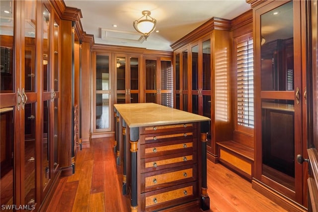 spacious closet featuring wood-type flooring