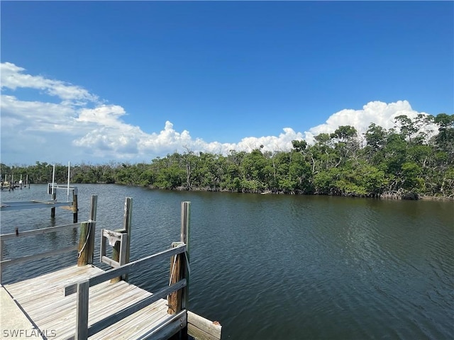 dock area featuring a water view