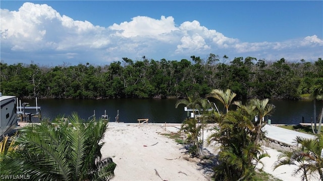 water view featuring a wooded view and a dock