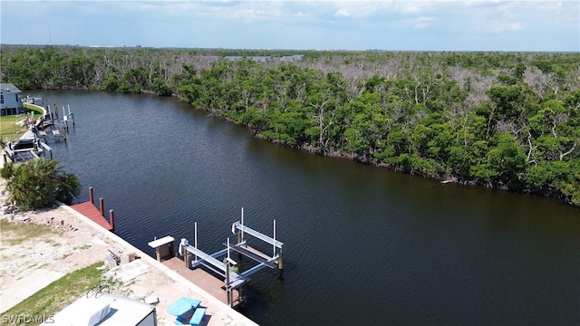 birds eye view of property with a view of trees and a water view