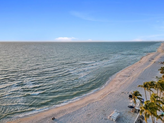 view of water feature featuring a beach view