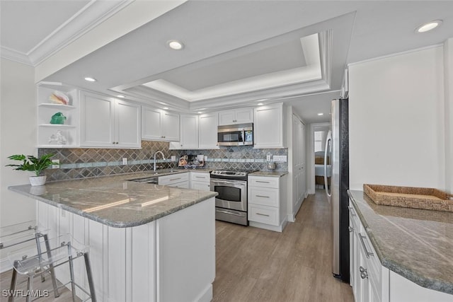 kitchen featuring white cabinets, stainless steel appliances, a raised ceiling, and kitchen peninsula