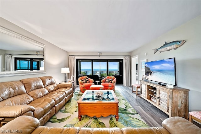 living room featuring dark hardwood / wood-style flooring