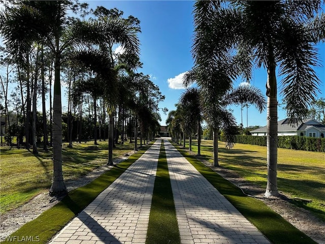 view of community featuring a lawn