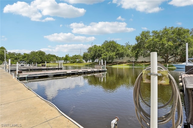 dock area with a water view