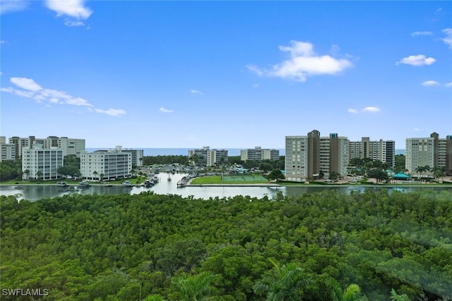 view of urban area featuring a large body of water and a forest