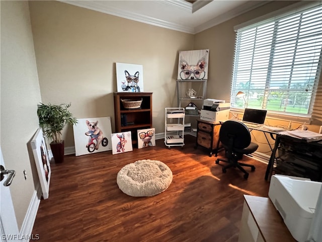 office space featuring ornamental molding and dark hardwood / wood-style floors