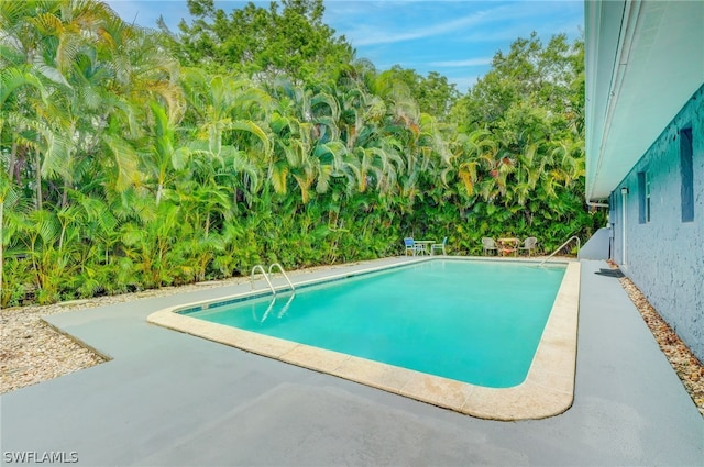 view of swimming pool with a patio