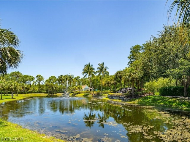 property view of water