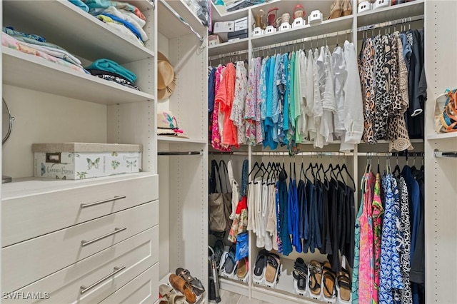 view of spacious closet