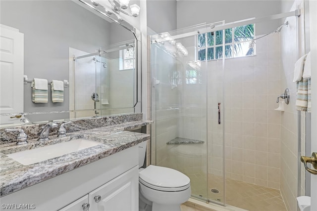 bathroom with vanity, toilet, and a shower with shower door