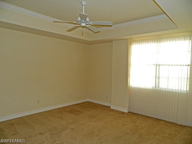 carpeted empty room featuring a tray ceiling, a healthy amount of sunlight, and ceiling fan