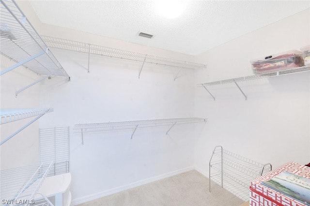 spacious closet with light colored carpet