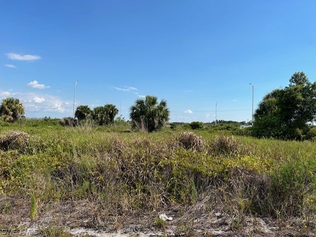 3316/3318 Meadow Rd, Lehigh Acres FL, 33974 land for sale