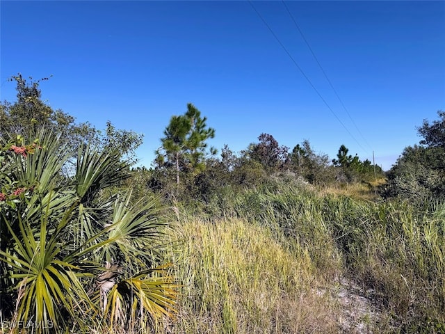 Siesta Ave, Labelle FL, 33935 land for sale