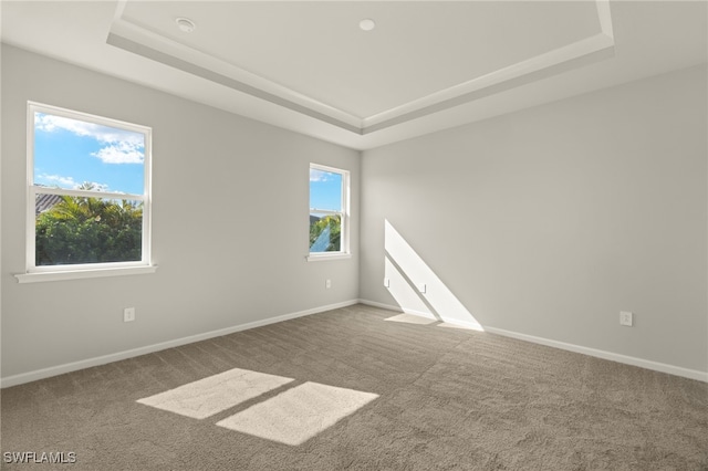 carpeted empty room featuring a tray ceiling