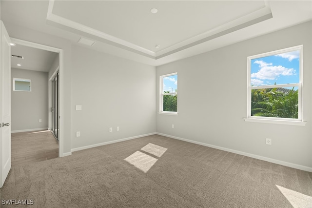 spare room with carpet flooring and a tray ceiling