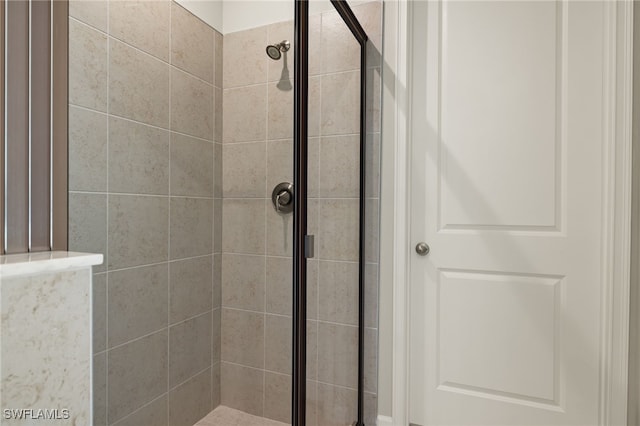 bathroom with a shower with shower door