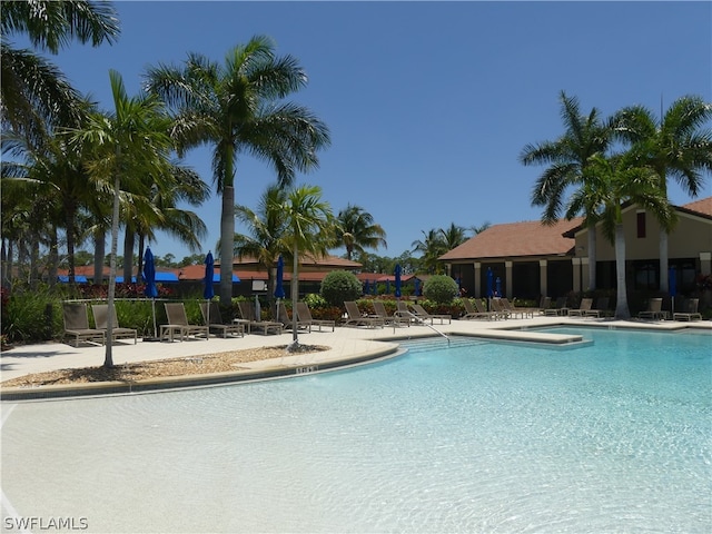 view of pool with a patio