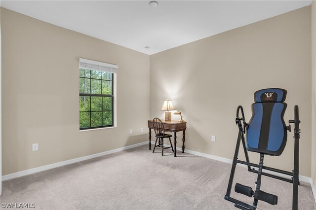 interior space featuring light colored carpet