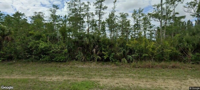 439 Greenbriar Blvd, Lehigh Acres FL, 33972 land for sale