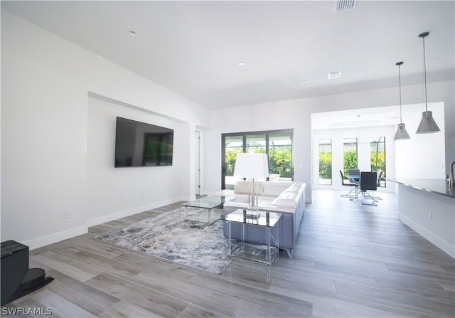 living room featuring hardwood / wood-style flooring