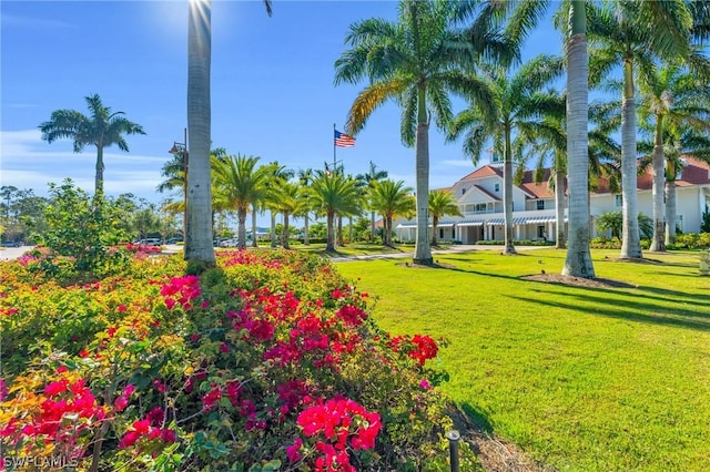 view of community with a yard