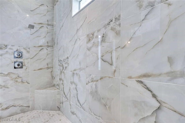 interior details with tiled shower