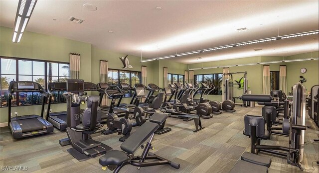 workout area featuring visible vents and carpet floors