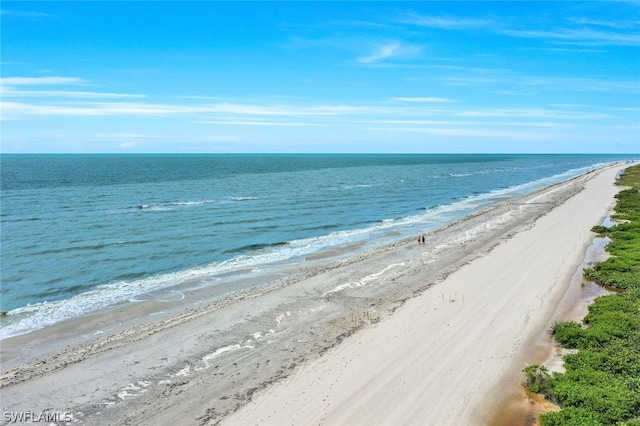 water view featuring a view of the beach