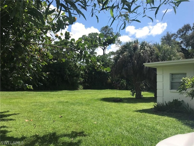 view of green lawn