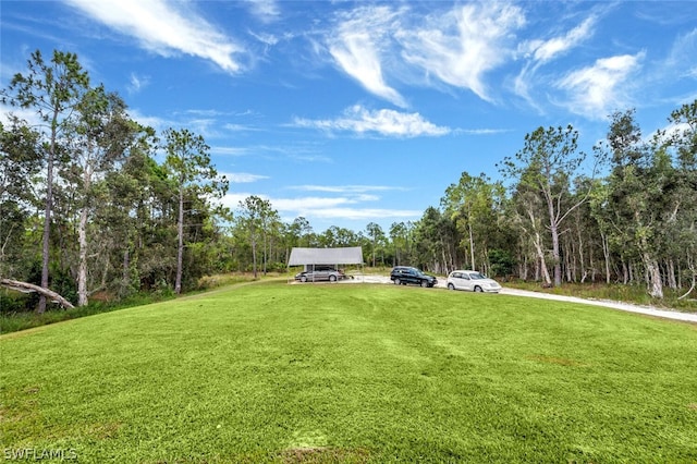 view of yard