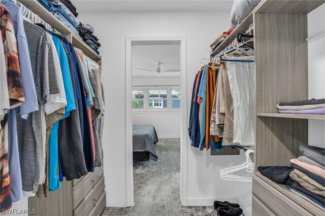 walk in closet with carpet floors