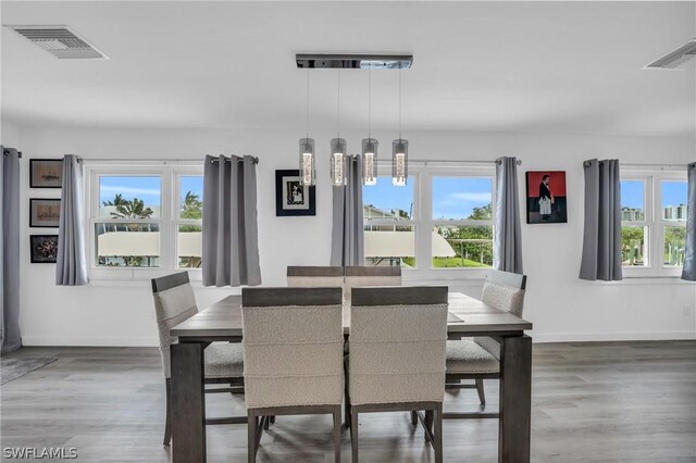 dining space featuring a wealth of natural light and wood-type flooring