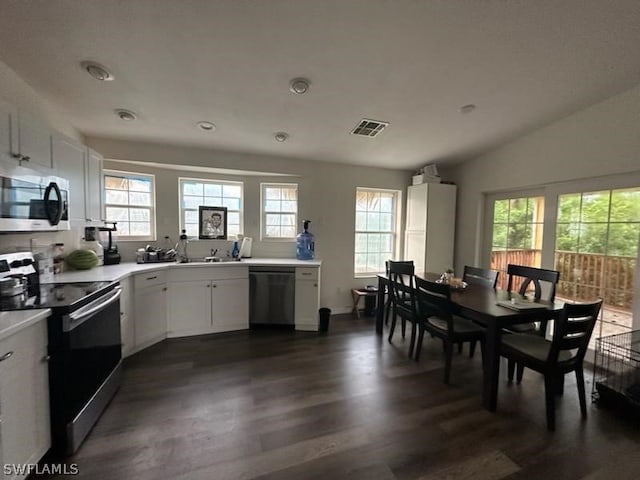 kitchen featuring plenty of natural light, stainless steel appliances, white cabinets, and dark wood-type flooring